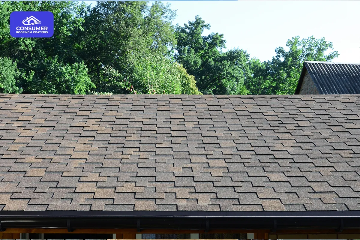 The $5,000 Roofing Mistake Many Ontario Homeowners Make When Replacing Their Roof