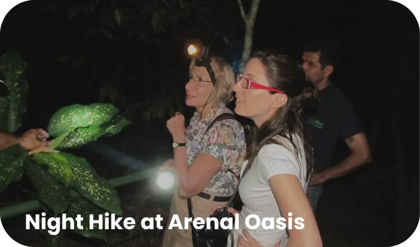 Travel with Josh Mini Combo 2