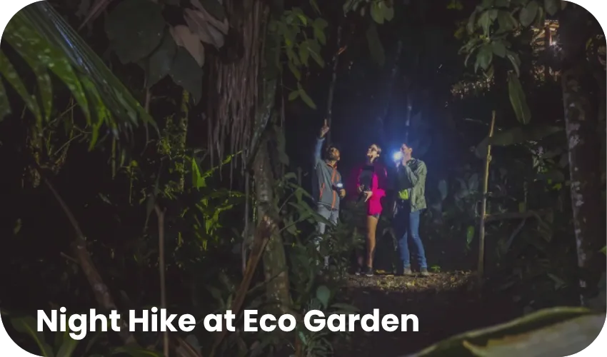 Travel with Josh Mini Combo 3