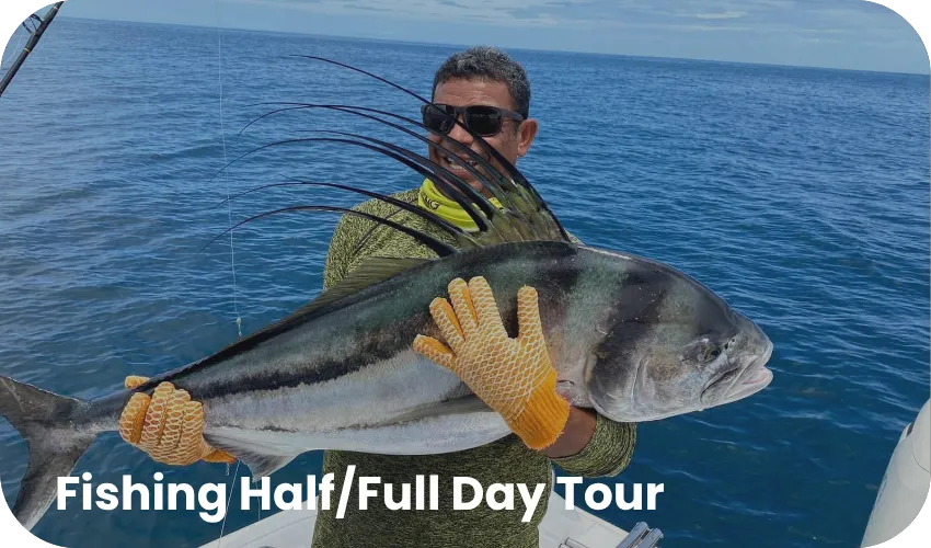 Travel with Josh Mini Combo 2