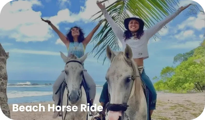 Horse Riding & Sloths Tour with Josh Cosa Rica