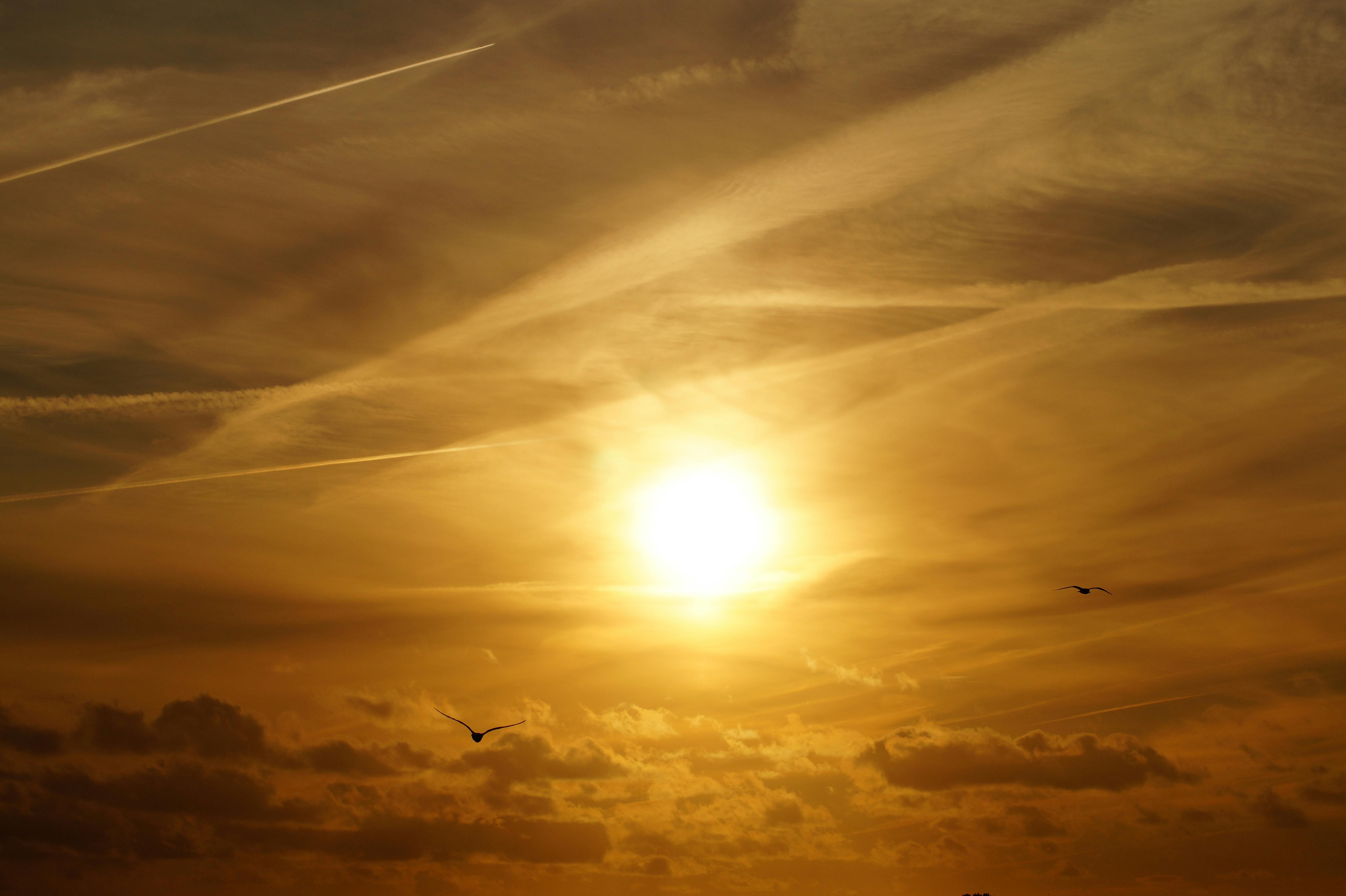 Jak globalne zagrożenia środowiskowe redefiniują produkcję, przetwórstwo i bezpieczeństwo żywności