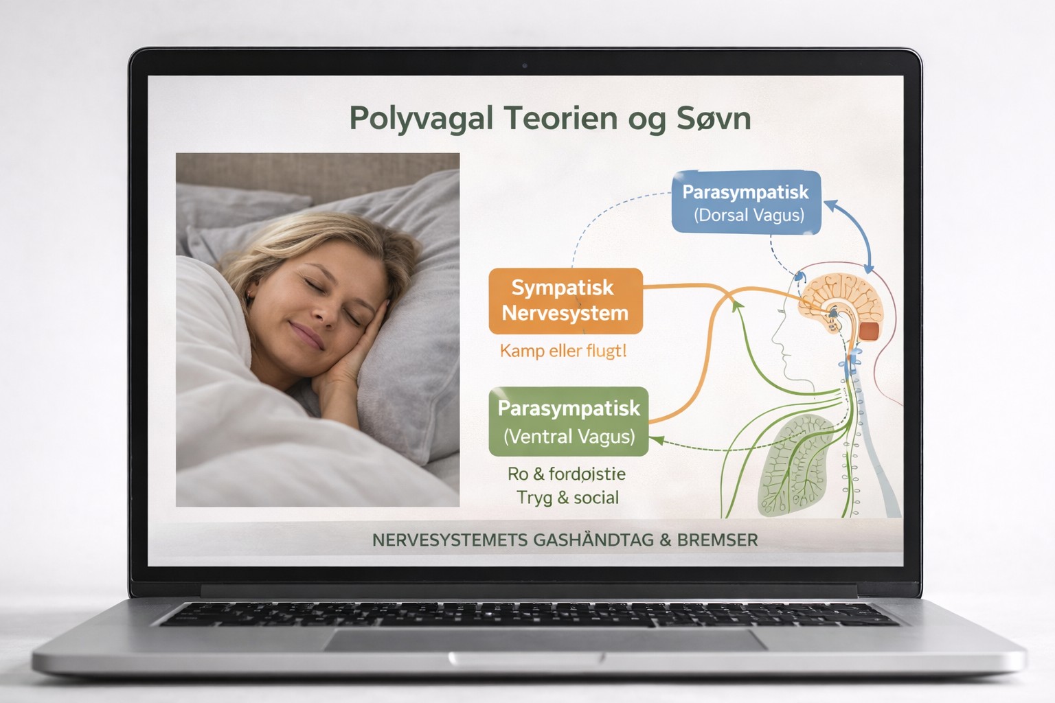 Mind & Sleep - søvnforløb for kvinder