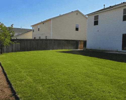 Light Landscaping Cleanup in Dutchess County