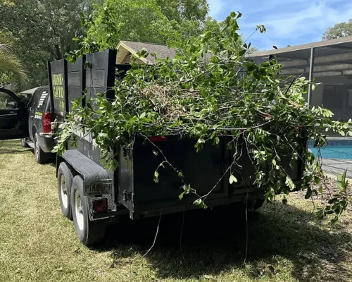Estate Cleanouts Dutchess County