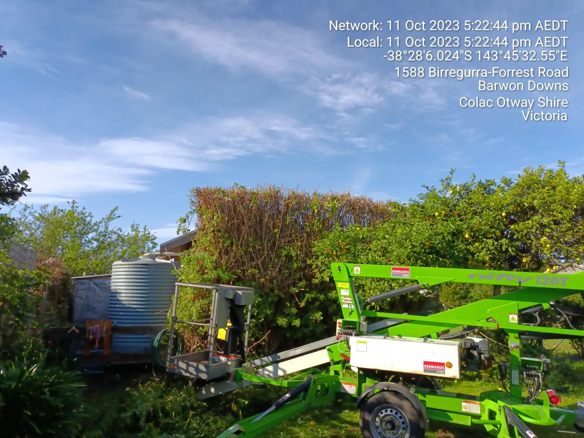 yard cleaning services ellenbrook