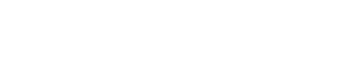 Land O' Lakes Screen Enclosures Logo
