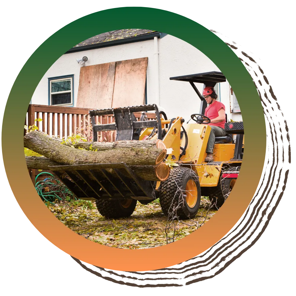 A1 Tree & Stump Removal - Commercial Tree Servicess