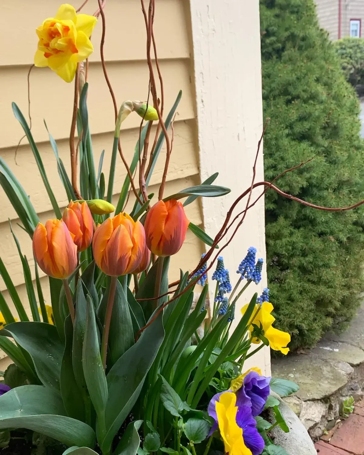 Custom window box design in Marblehead Massachusetts with vibrant seasonal plantings