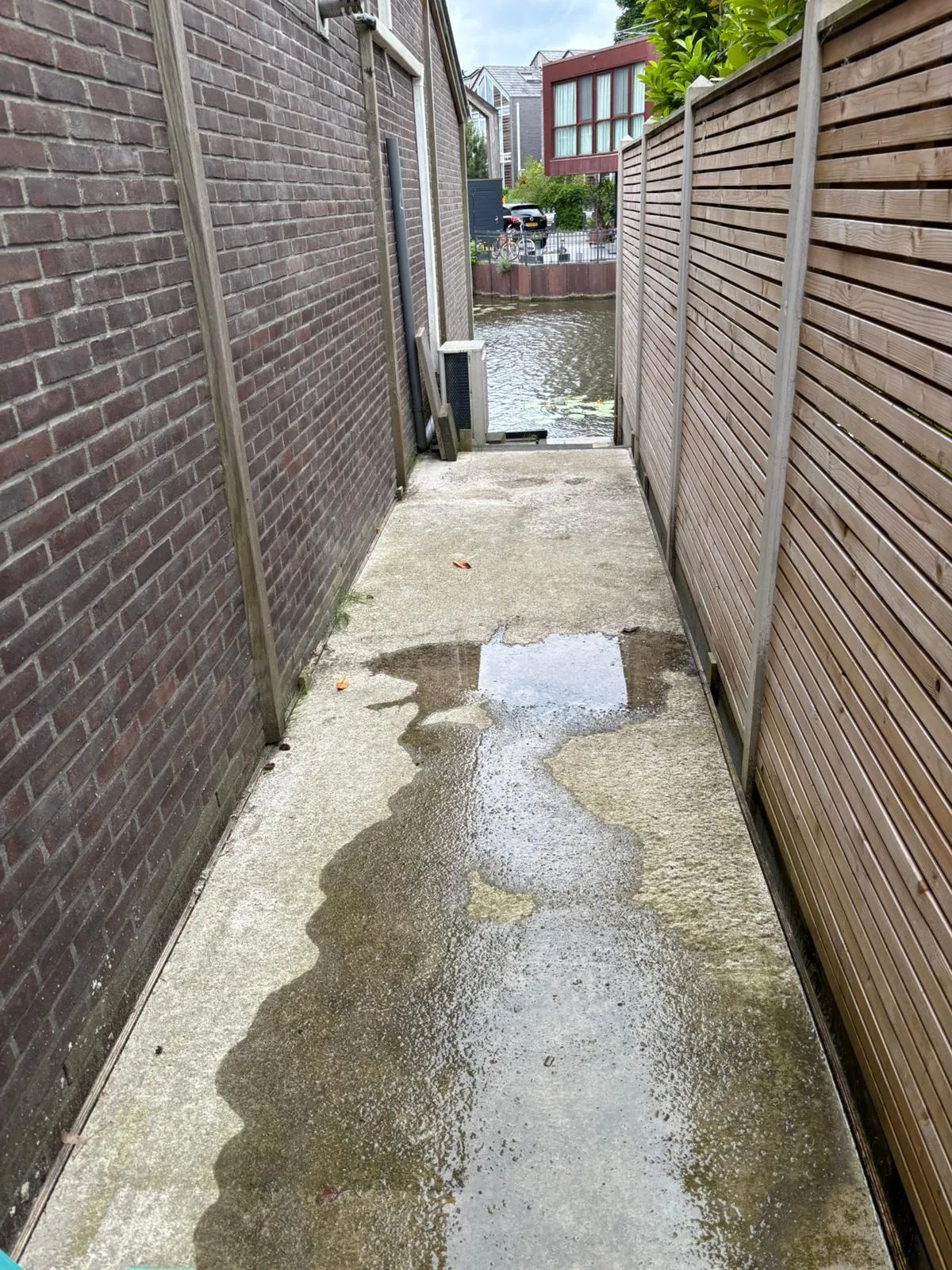Dieptereiniging van tapijt uitgevoerd door TMC Facility Group in Flevoland