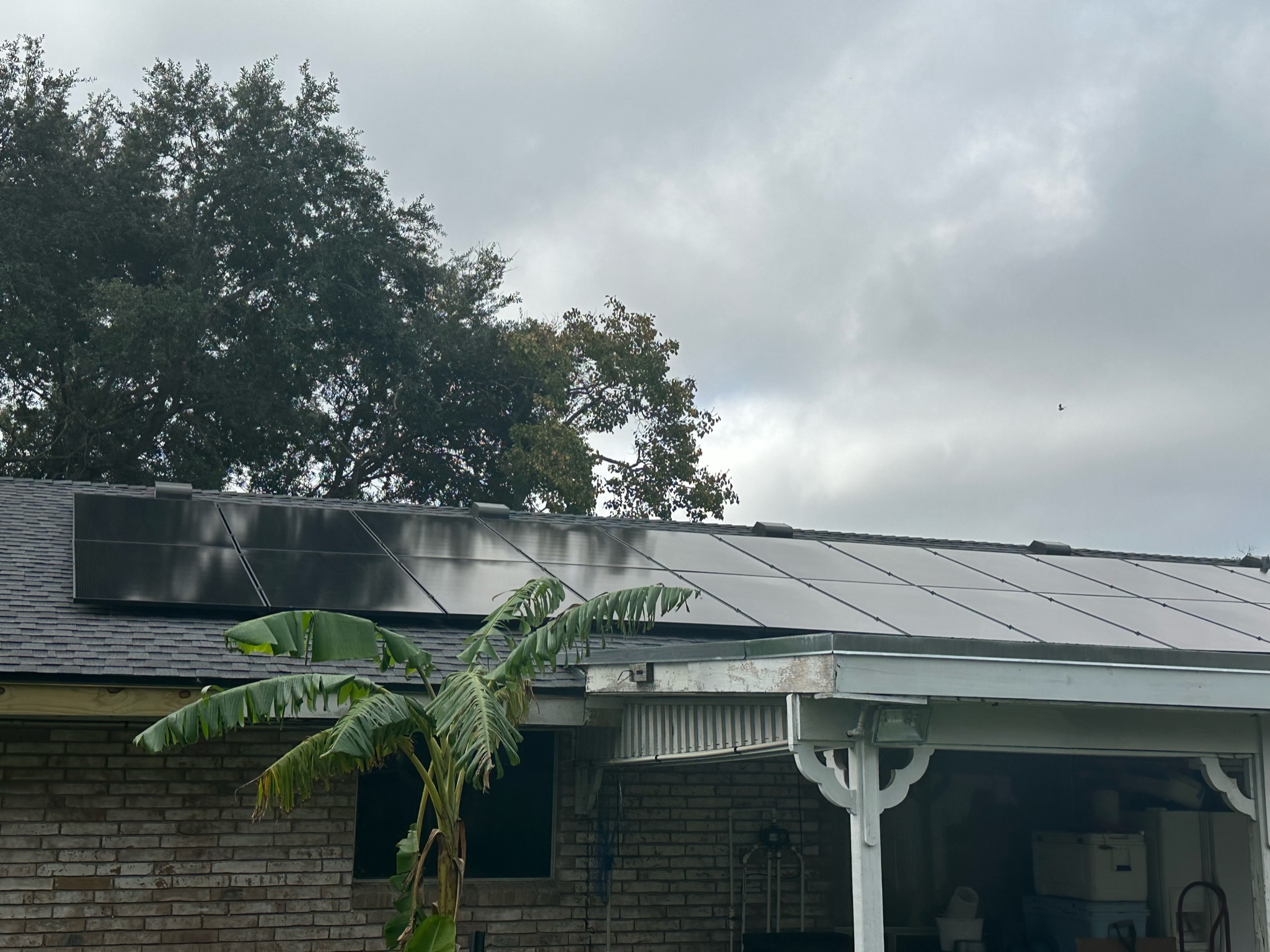 austin solar panel removal