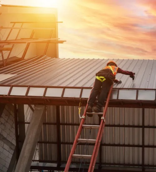 roof cleaning