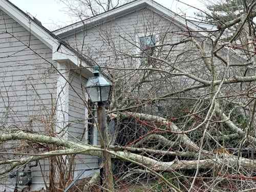 Hingham Tree Removal