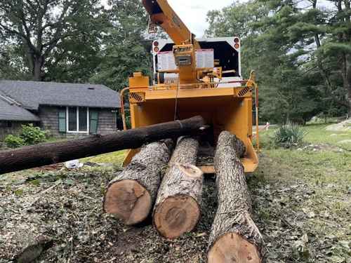 {{ custom_values.service_1 }} in {{custom_values.biz_area_1})