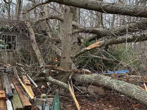 Hingham Land Clearing