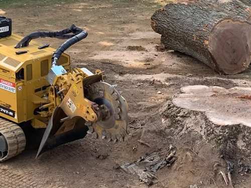 Stump Removal in Cohasset
