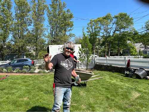 Tree Removal in Cohasset