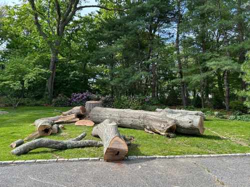 Stump Removal Cohasset
