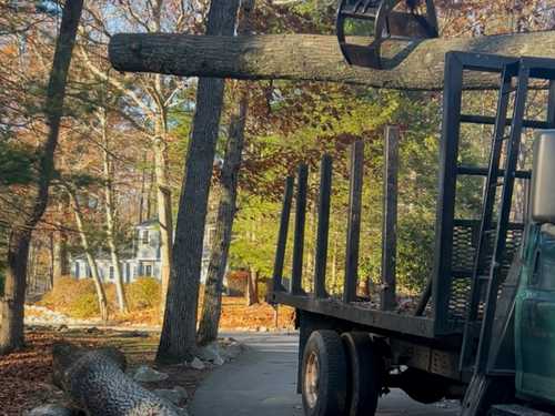 Tree Trimming Cohasset