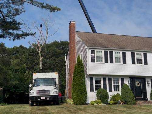  Emergency Tree Services