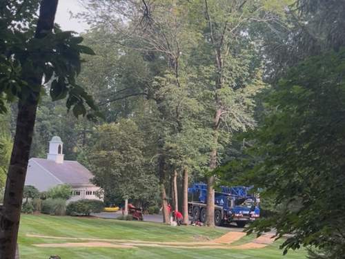 Stump Removal Cohasset