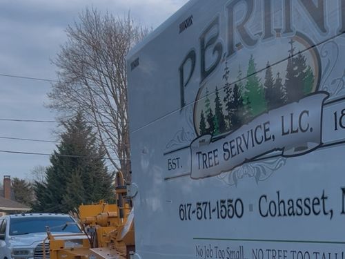 Stump Grinding Cohasset