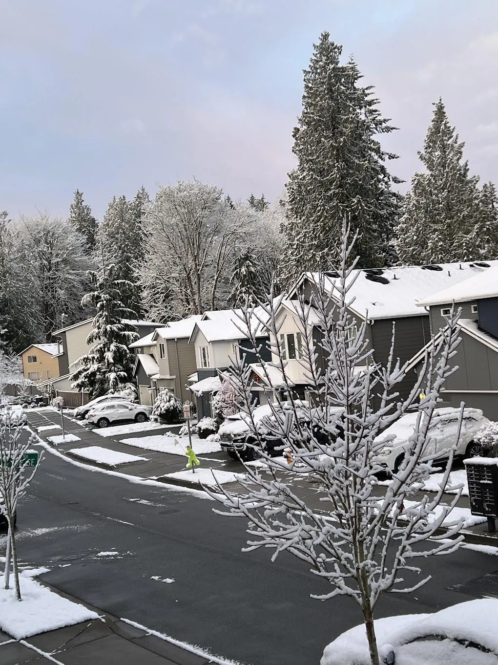 Should I buy new construction in Lake Stevens right now?