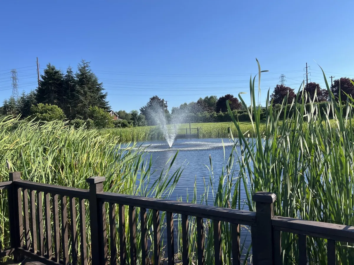 Why are some homes selling instantly in Everett while others are sitting?