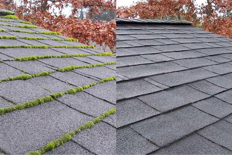 Roof Softwash Portland
