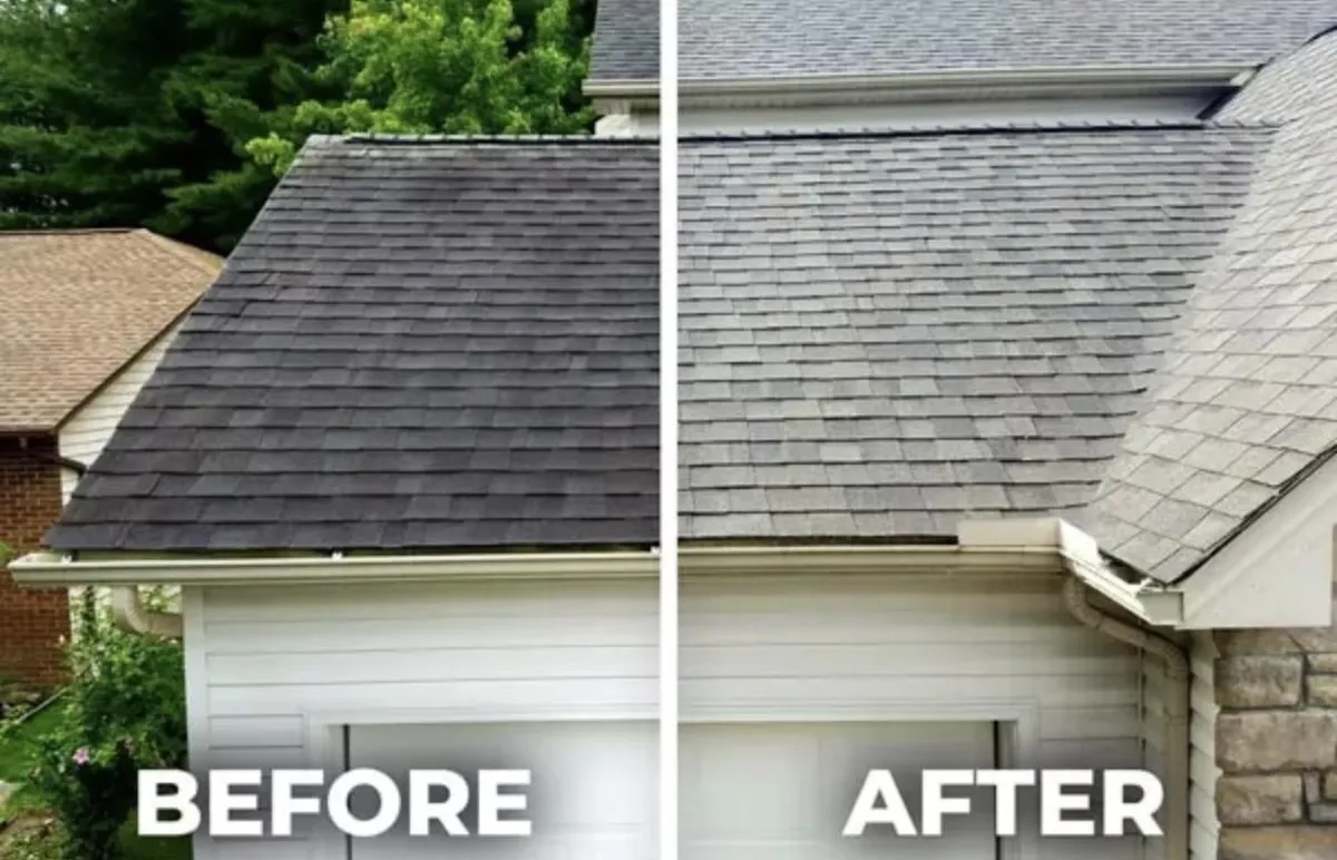 Moss Removal Portland