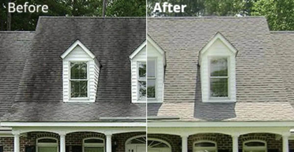Roof Cleaning Portland