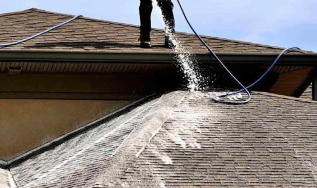Roof Softwash in Portland