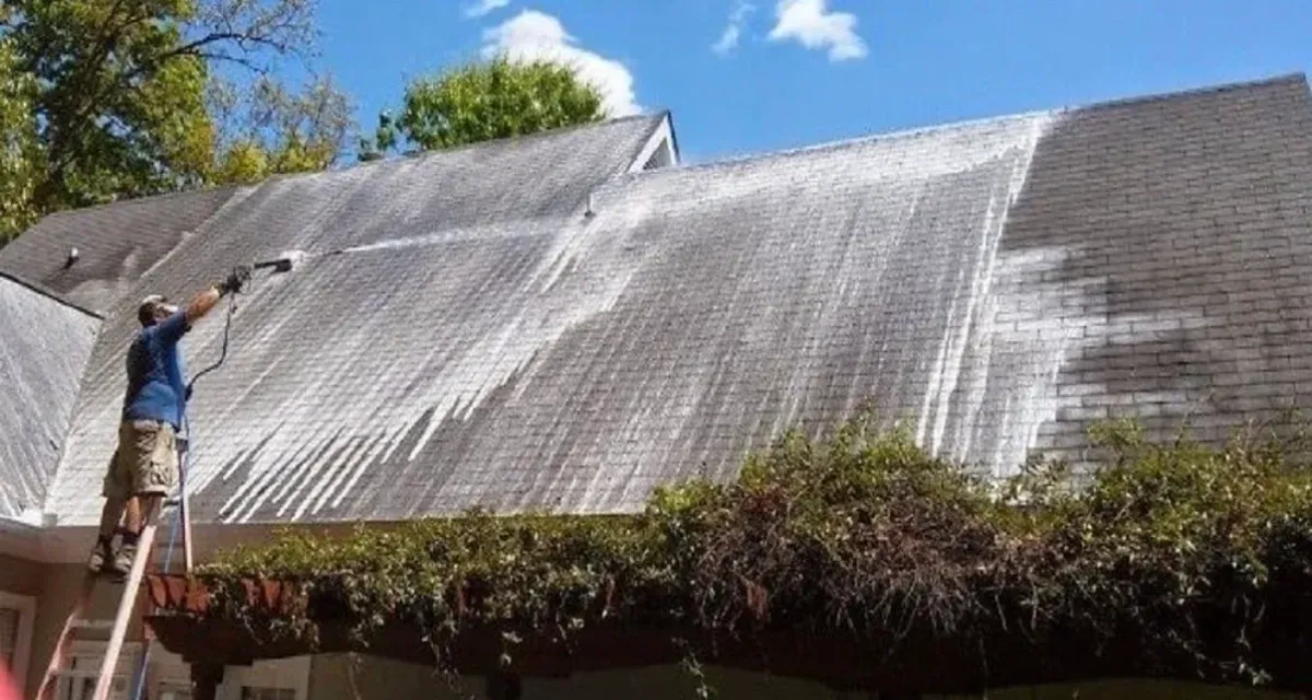 Moss Removal in Portland