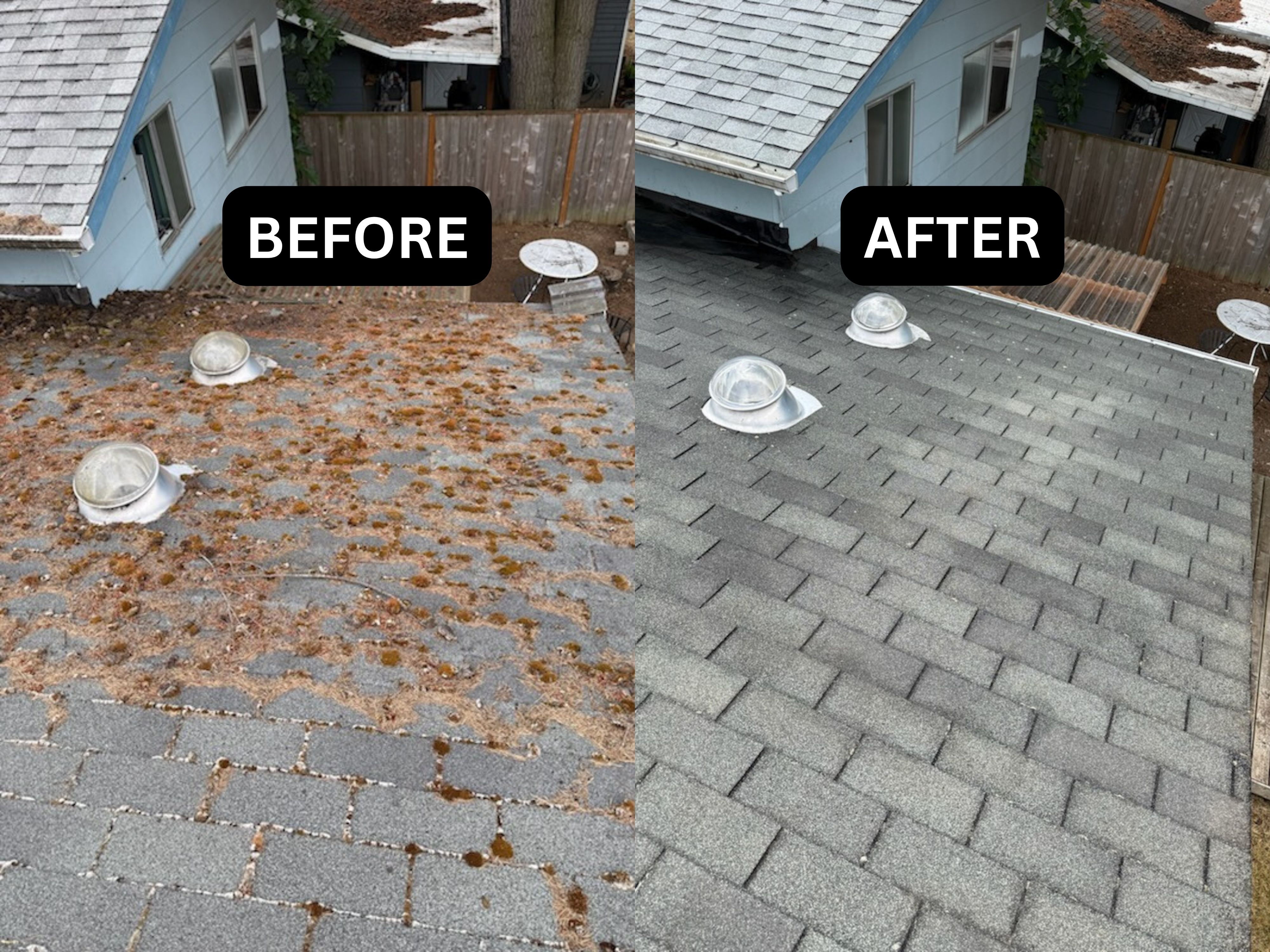 Moss Removal in Portland