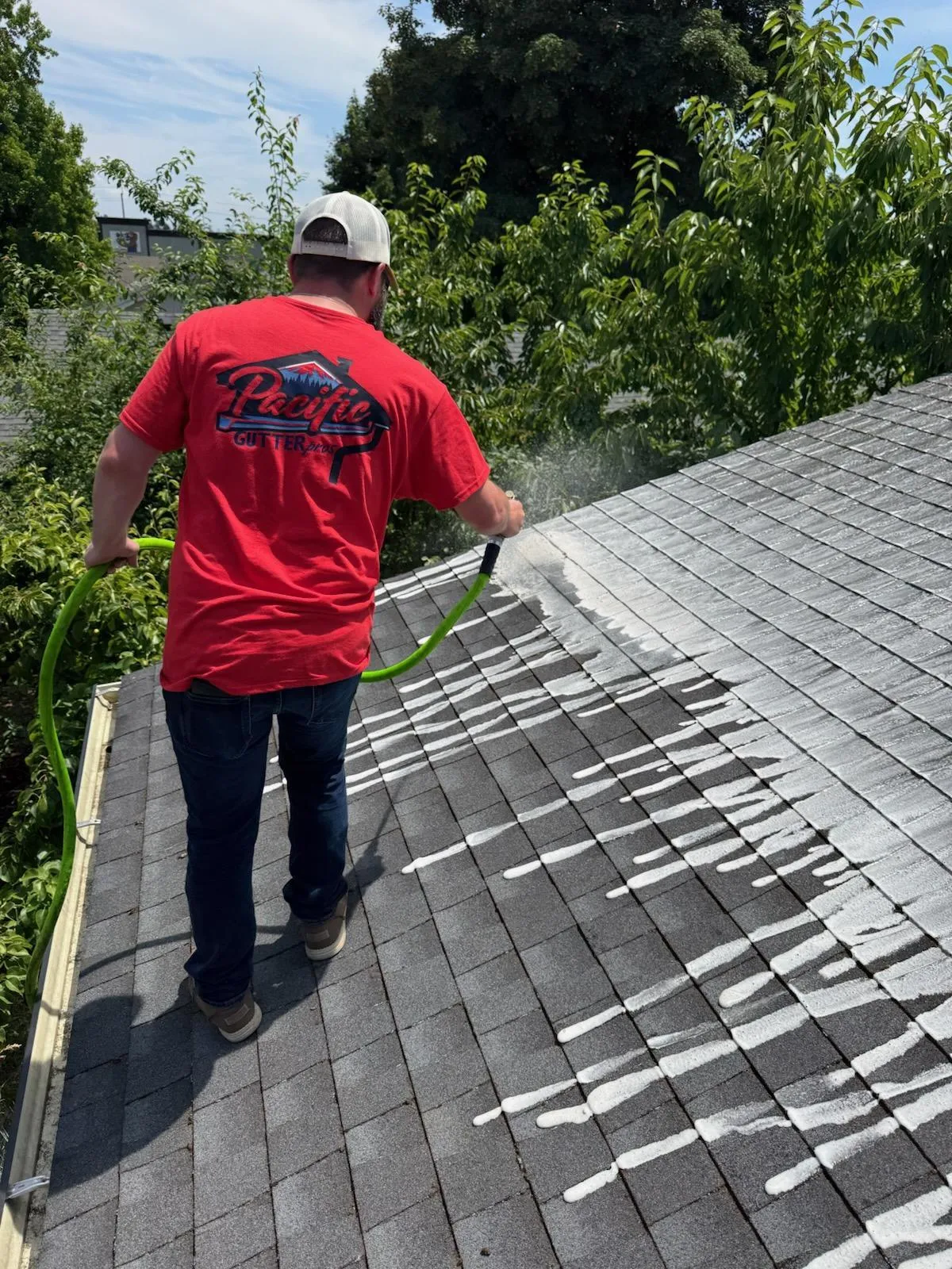Roof Softwash in Portland
