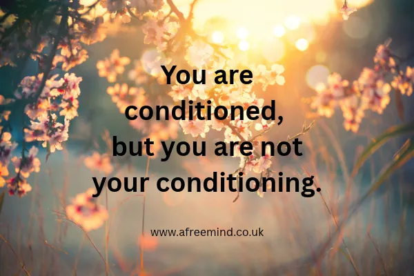 You are conditioned, but you are not your conditioning.