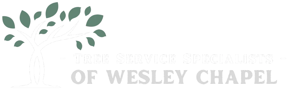 Tree Service Specialists of Wesley Chapel logo white