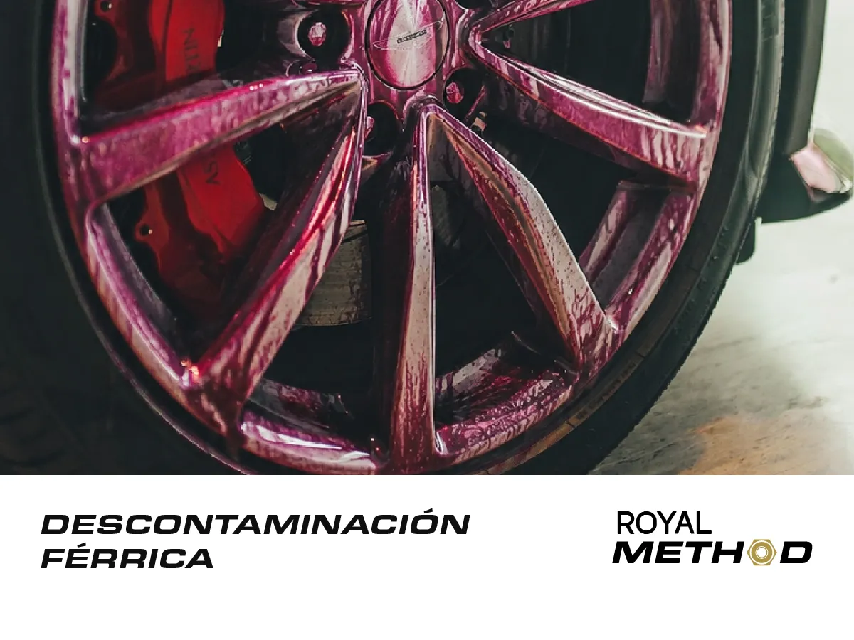 MÓDULO 08-04 ROYAL METHOD | DESCONTAMINACIÓN FÉRRICA