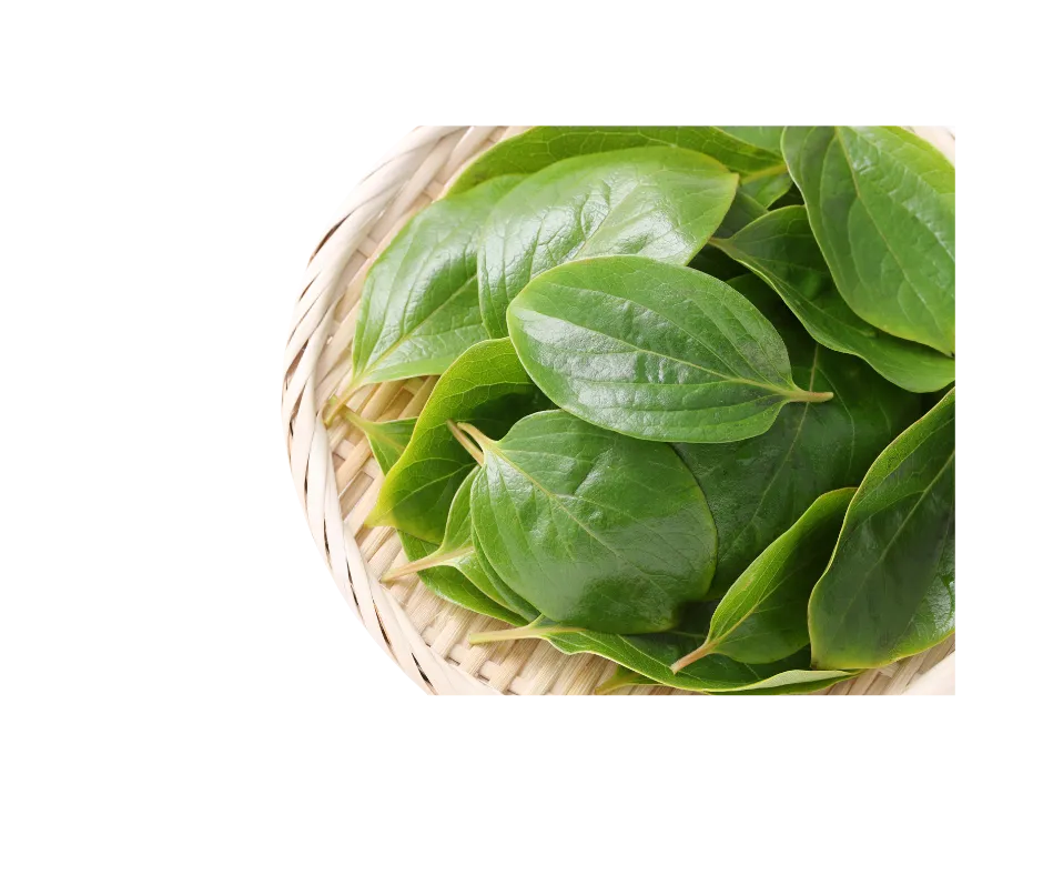 hojas-caqui-te-divina-ingrediente