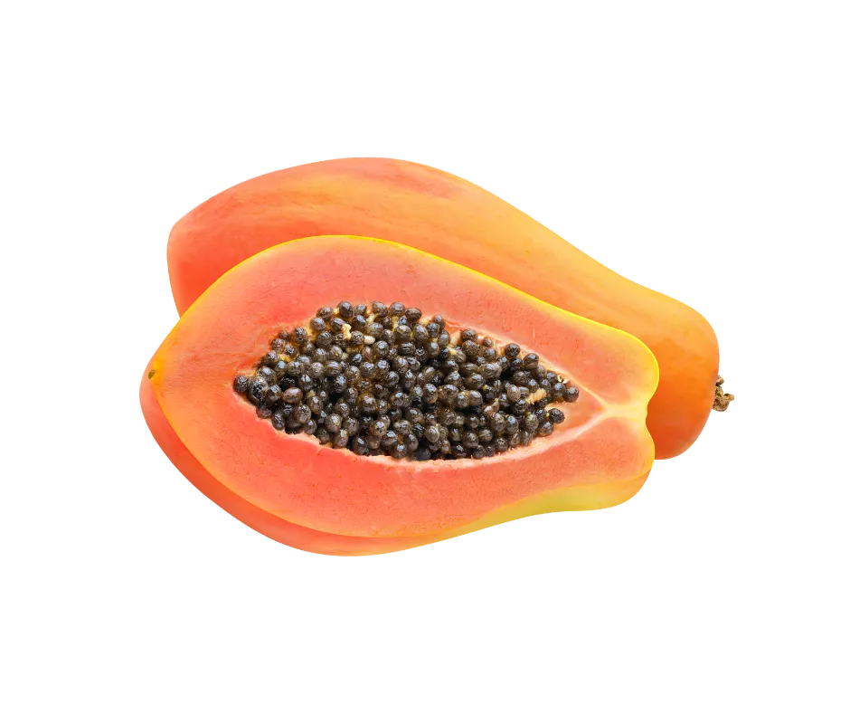 papaya-te-divina-ingrediente
