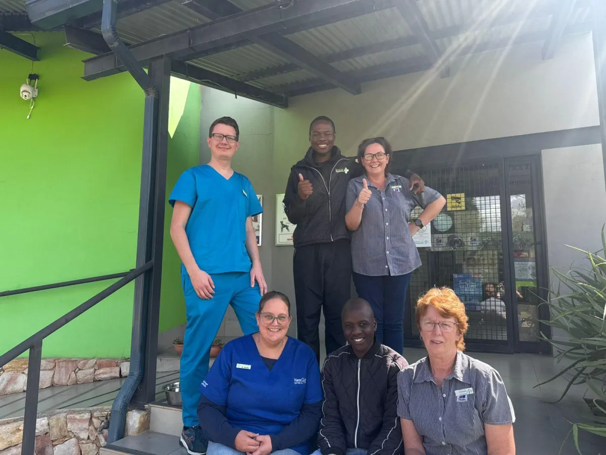Vet gently examining a happy dog in a bright clinic