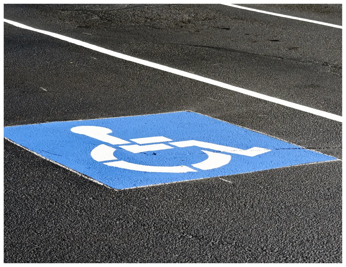 a potted plant with dirt in it on a black background