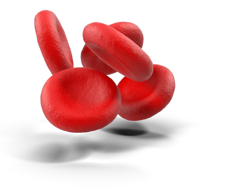 Level Up Your Lifestyle