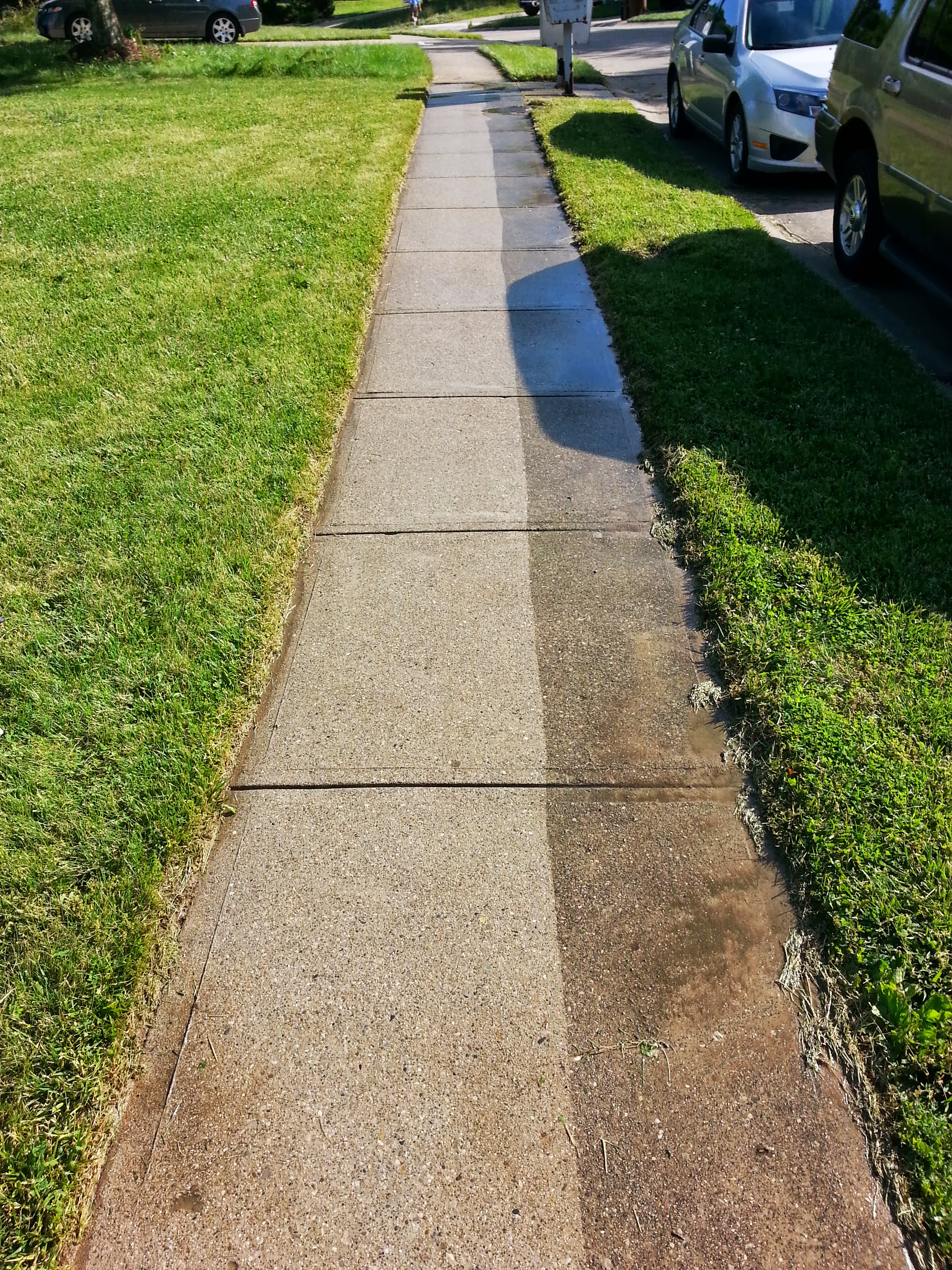 Commercial sidewalk organic growth removal – Missions Pressure Washing service example