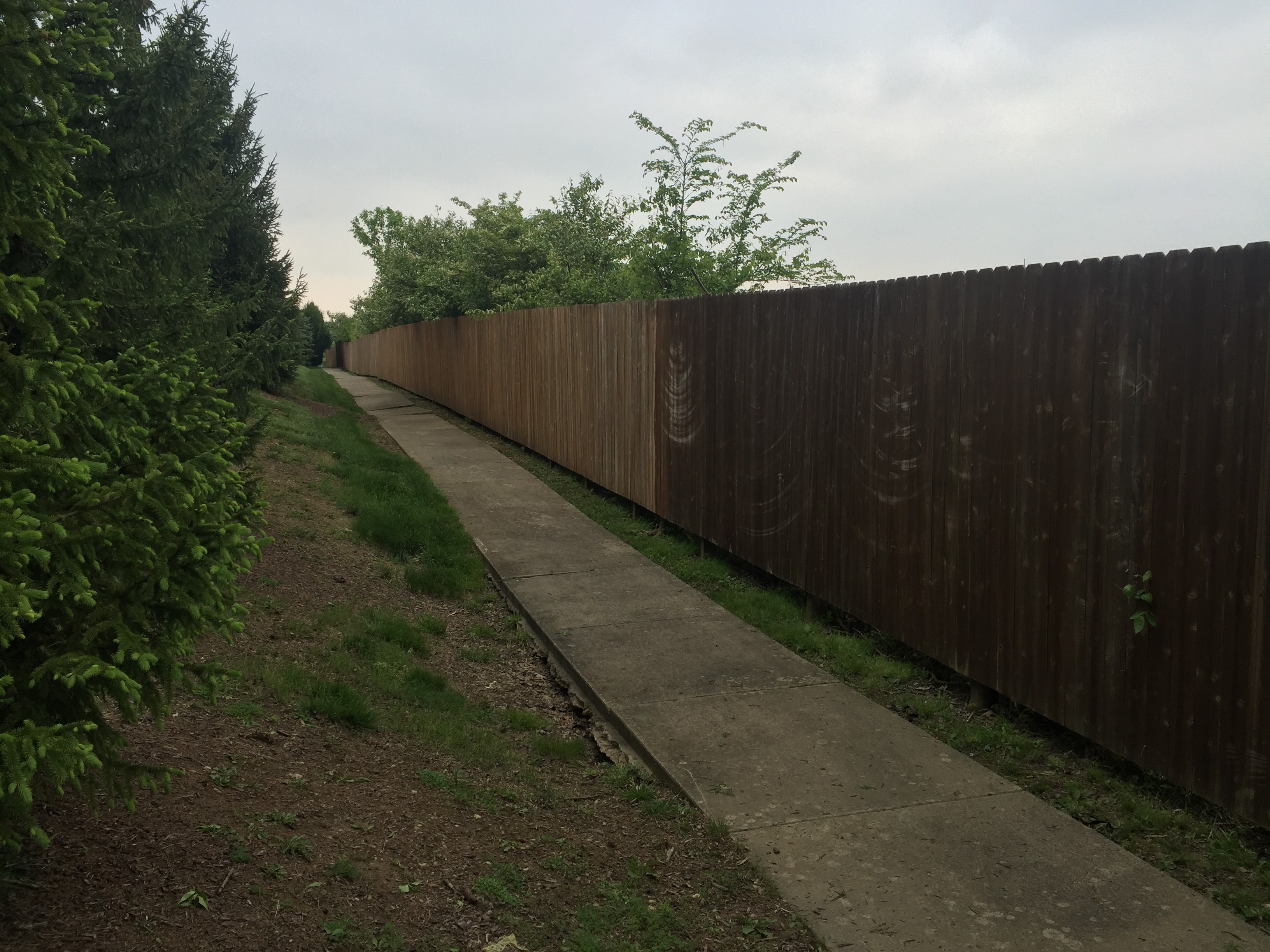 Commercial HOA wood fence cleaning – Missions Pressure Washing service example