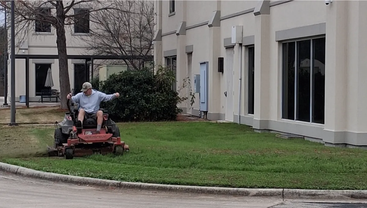 Tree Trimming & Tree Cleanup
