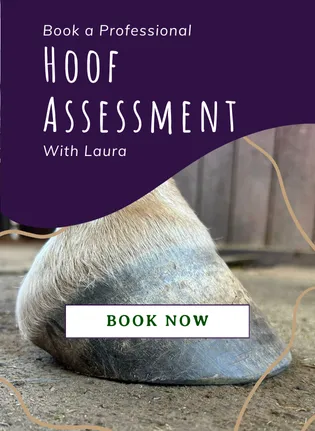 Book a professional hoof health assessment