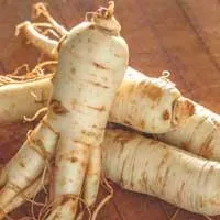 "Ginseng – supports healthy blood glucose and overall vitality in Sugar Defender formula."