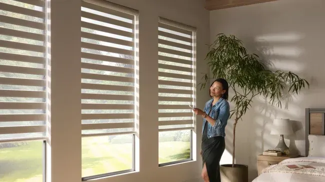 Beige zebra shades providing adjustable privacy on tall windows