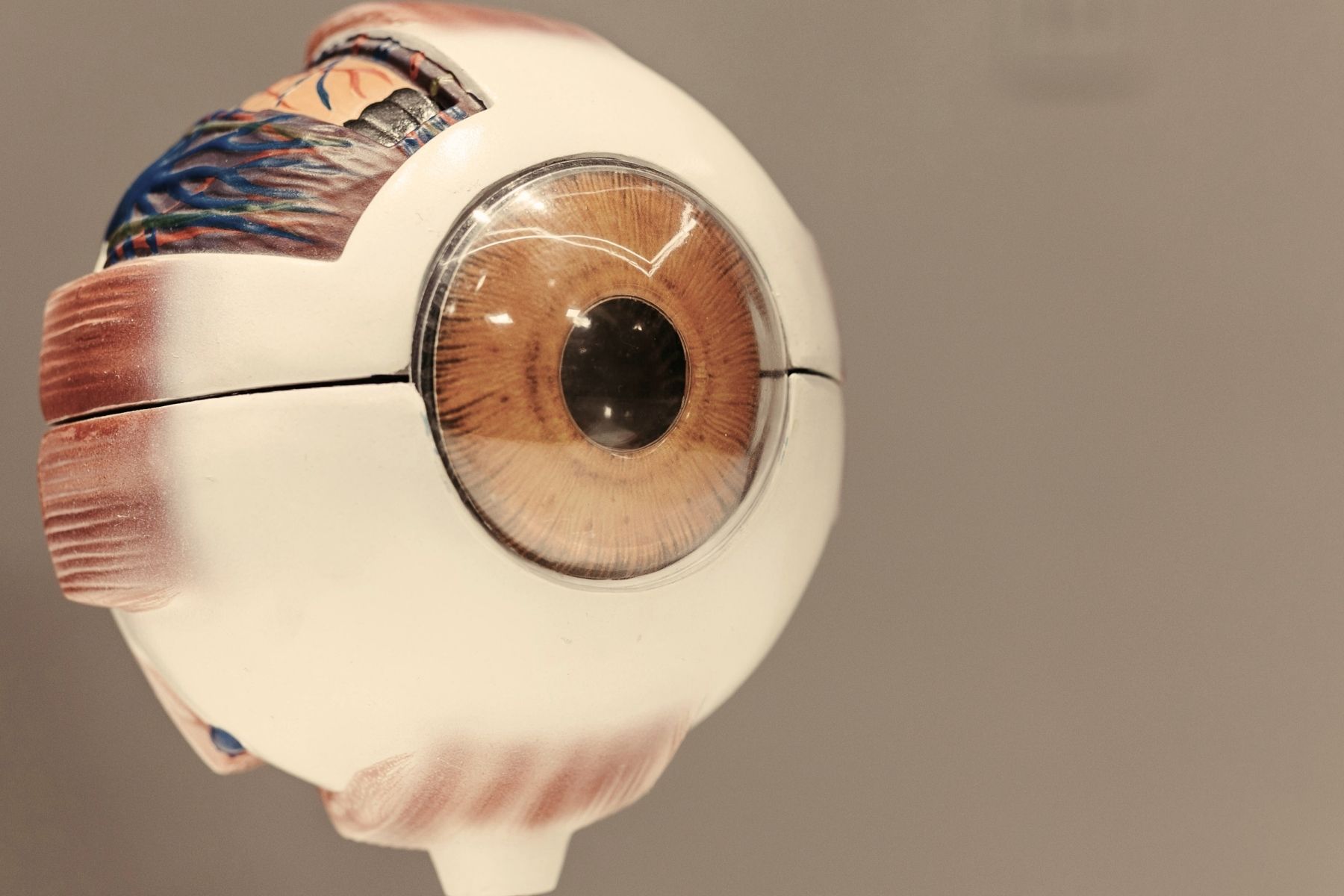 Señales de que necesitas visitar al oftalmólogo